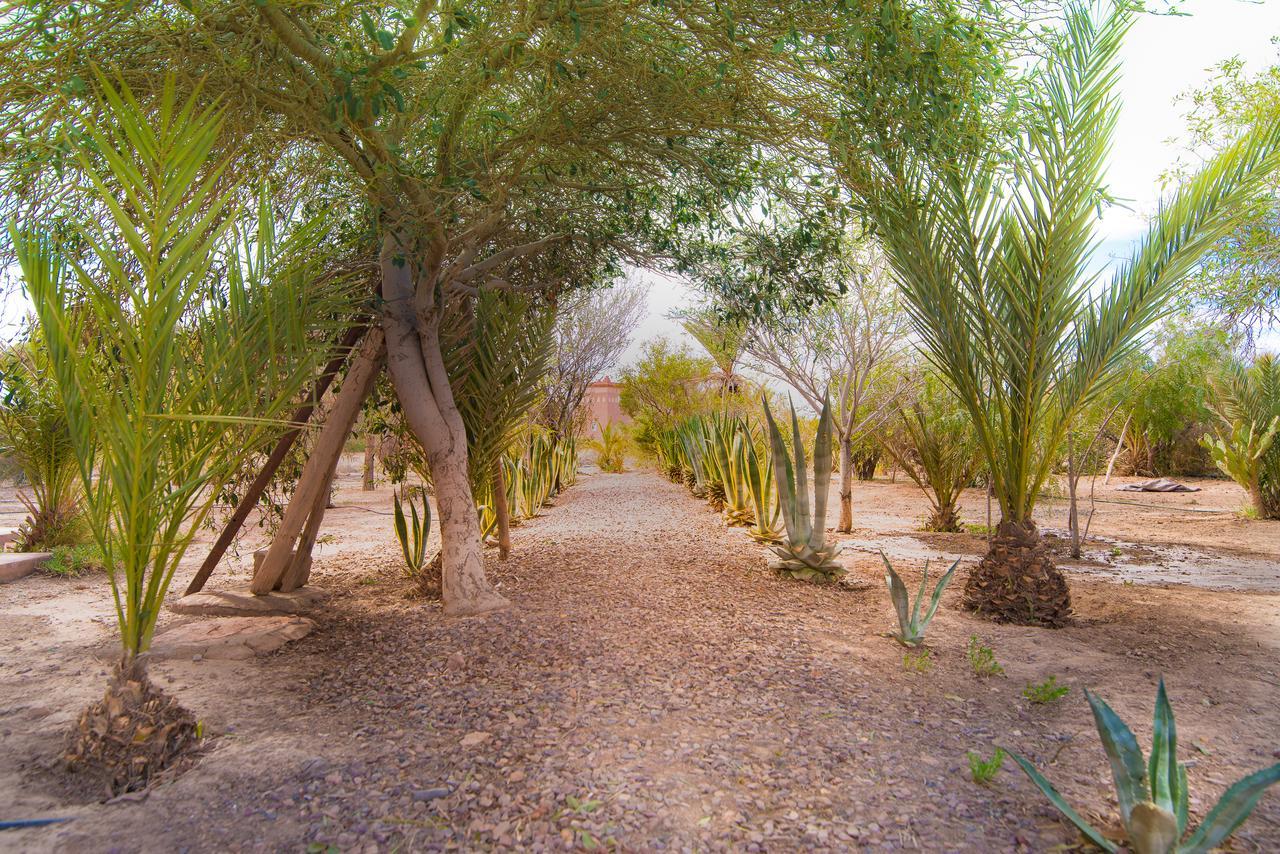 فيلا ورزازاتفي Kasbah Idriss المظهر الخارجي الصورة